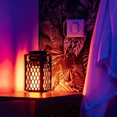 Tropical Jungle Loveroom Centre * Pau