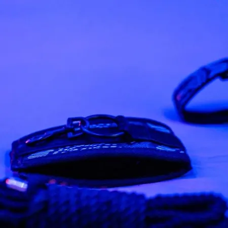 Appartamento Tropical Jungle Loveroom Centre *