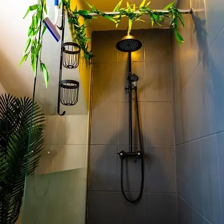 Tropical Jungle Loveroom Centre *