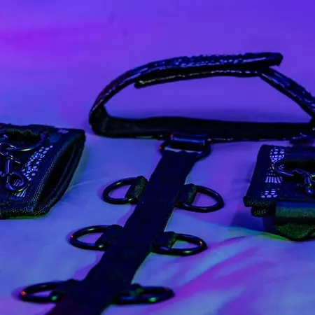 Lejlighed Tropical Jungle Loveroom Centre Pau