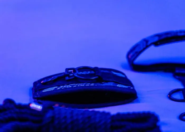 Appartement Tropical Jungle Loveroom Centre *