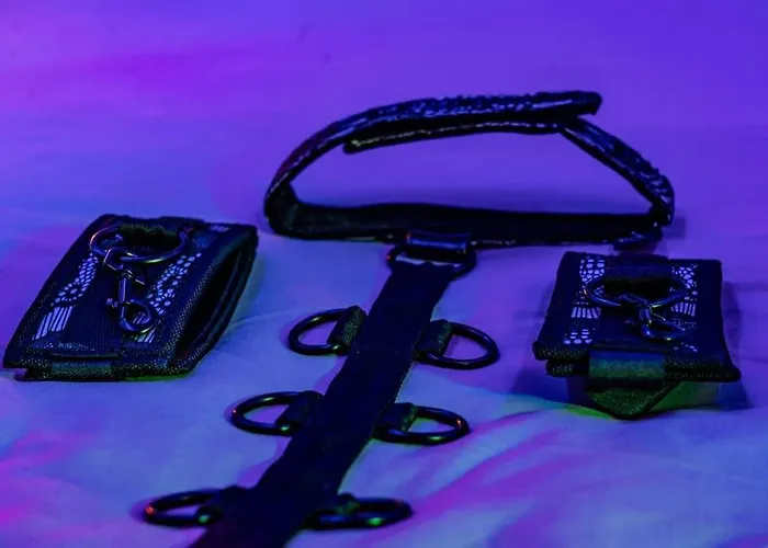 Appartement Tropical Jungle Loveroom Centre Pau